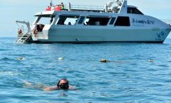 Blu Anda Catamaran to Phi Phi from Phuket by Bangtao Beach Bar