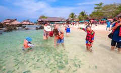 Phi Phi Island from Phuket by Speedboat with World Famous Maya Bay by Bangtao Beach Bar Phi Phi Island from Phuket by Speedboat with World Famous Maya Bay by Bangtao Beach Bar