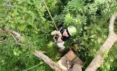 Phuket Hanuman World Zipline: 18 Platforms and Hotel Transfers by Bangtao Beach Bar Phuket Hanuman World Zipline: 18 Platforms and Hotel Transfers by Bangtao Beach Bar