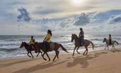 Phuket Horse Riding Club by Bangtao Beach Bar Phuket Horse Riding Club by Bangtao Beach Bar