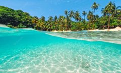 Racha Island + Coral Island Full day with Lunch by Bangtao Beach Bar