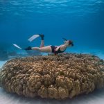Raya Island / Mai Ton Island Private Boat Tour by Bangtao Beach Bar