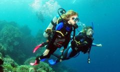 SSI | Padi Open Water Course in Phuket by Bangtao Beach Bar SSI | Padi Open Water Course in Phuket by Bangtao Beach Bar