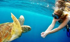Phuket Tours & Activities Phuket Tours & Activities