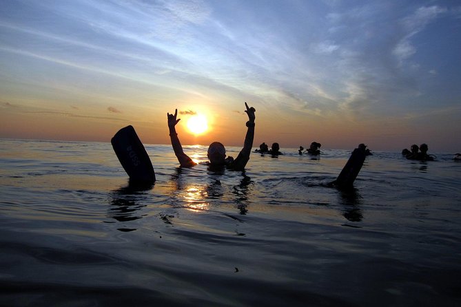 Scuba Diving Kata Beach Night Dive for Certified Divers by Bangtao Beach Bar Scuba Diving Kata Beach Night Dive for Certified Divers - Scuba Diving