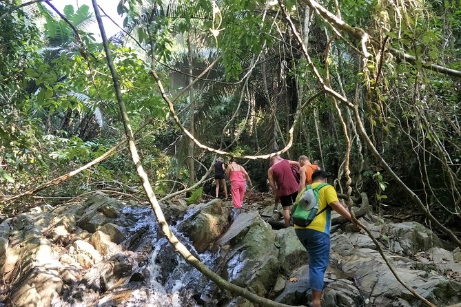 Phuket Jungle Trekking by Bangtao Beach Bar Phuket Jungle Trekking - Hiking Tours