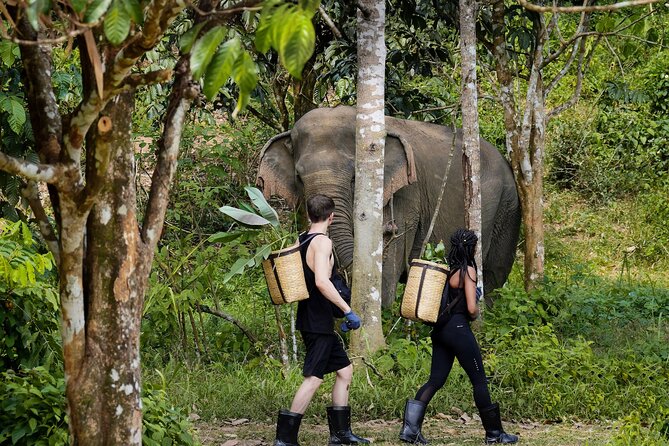 Phuket: Full-Day Phuket Elephant Sanctuary Tour with Meals by Bangtao Beach Bar Phuket: Full-Day Phuket Elephant Sanctuary Tour with Meals - Full-day Tours