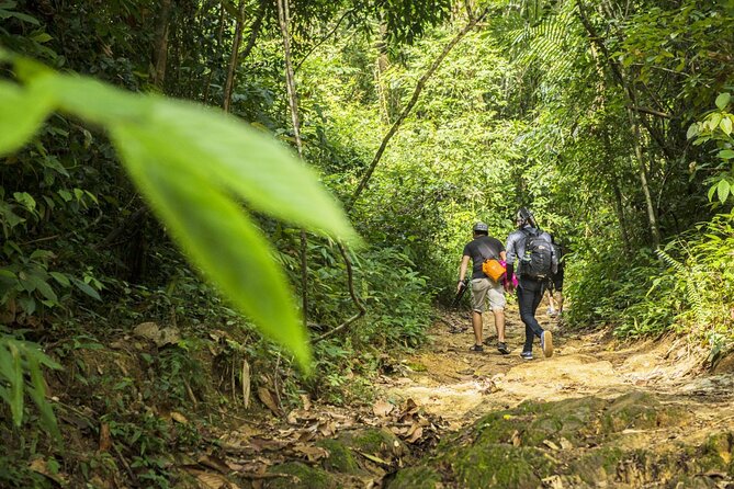 Phuket Khao Phra Taew Jungle Trekking Tour by Bangtao Beach Bar Phuket Khao Phra Taew Jungle Trekking Tour - Nature and Wildlife