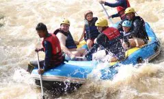 Best Seller:Rafting 5km+Flying Fox (Full day From Phuket) by Bangtao Beach Bar Best Seller:Rafting 5km+Flying Fox (Full day From Phuket) by Bangtao Beach Bar