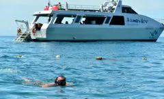 Blu Anda Catamaran to Phi Phi from Phuket by Bangtao Beach Bar