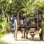 Full-Day Phuket Local Life Culture Tour with Pickup and Lunch by Bangtao Beach Bar