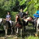 Phuket Horseback Riding 1 hour trail by Bangtao Beach Bar
