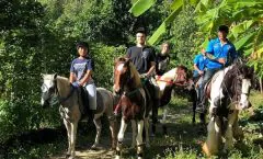 Phuket Horseback Riding 1 hour trail by Bangtao Beach Bar