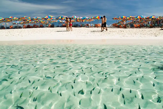 Khai Island Half Day Tour by Speedboat from Phuket by Bangtao Beach Bar Khai Island Half Day Tour by Speedboat from Phuket by Bangtao Beach Bar