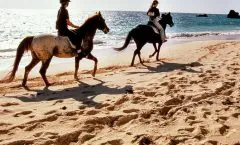 Krabi Horse Riding at Ao Nam Mao Beach by Bangtao Beach Bar