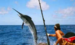 Phuket - Game Fishing Day Trip by Bangtao Beach Bar Phuket - Game Fishing Day Trip by Bangtao Beach Bar