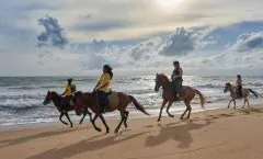 Phuket Horse Riding Club by Bangtao Beach Bar