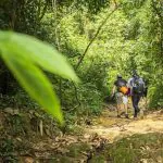 Phuket Khao Phra Taew Jungle Trekking Tour by Bangtao Beach Bar