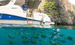 Private Boat Charter for Two by Simba Sea Trips by Bangtao Beach Bar Private Boat Charter for Two by Simba Sea Trips by Bangtao Beach Bar