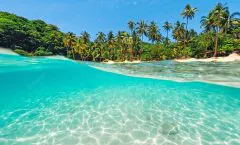 Racha Island + Coral Island Full day with Lunch by Bangtao Beach Bar