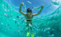 Raya Island Tour by Speed Boat from Phuket by Bangtao Beach Bar Raya Island Tour by Speed Boat from Phuket by Bangtao Beach Bar