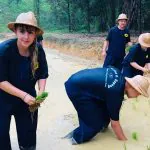 Choeng Thale Rice Fields