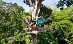 Go Ziplining in the Jungle in Patong