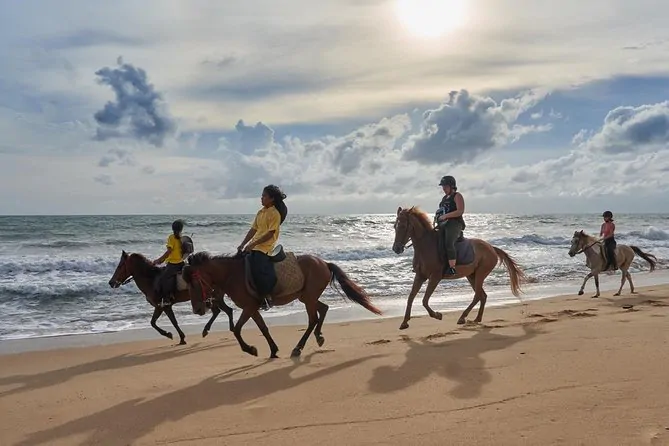 Phuket Horse Riding Club by Bangtao Beach Bar Phuket Horse Riding Club - Horseback Riding