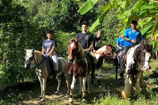 Phuket Horseback Riding 1 hour trail by Bangtao Beach Bar Phuket Horseback Riding 1 hour trail - Horseback Riding