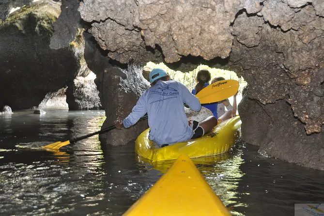 John Gray's Sea Canoe Hong by Starlight Tour - Kayaking Tours